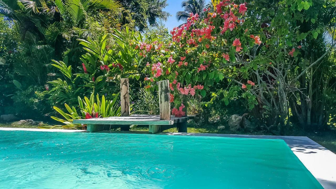 Villa Strelitzia Кабарете Экстерьер фото